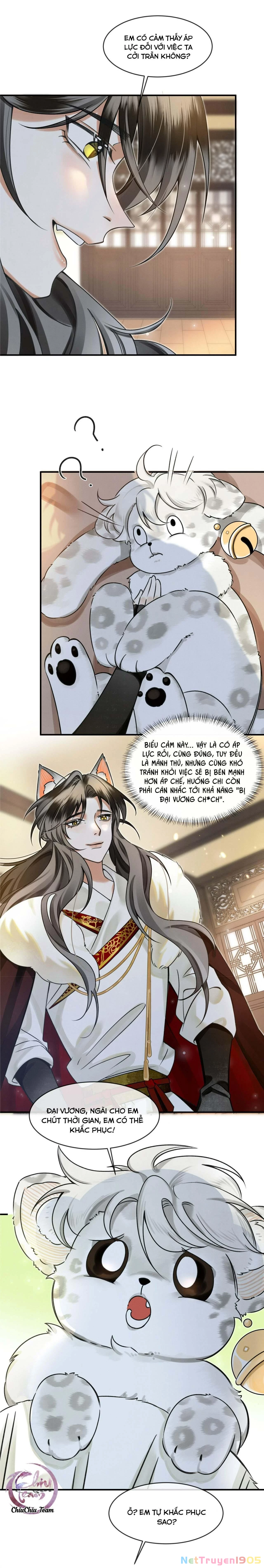 Báo Tuyết Thích Cắn Đuôi Chapter 2 - 3