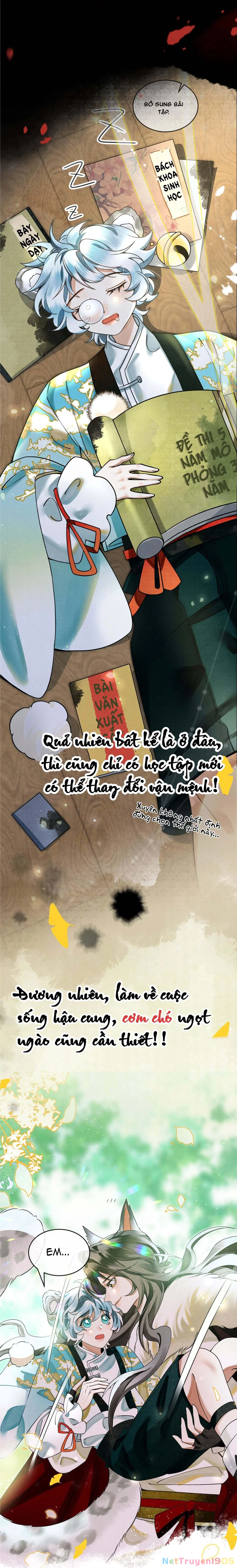 Báo Tuyết Thích Cắn Đuôi Chapter 2.1 - 4