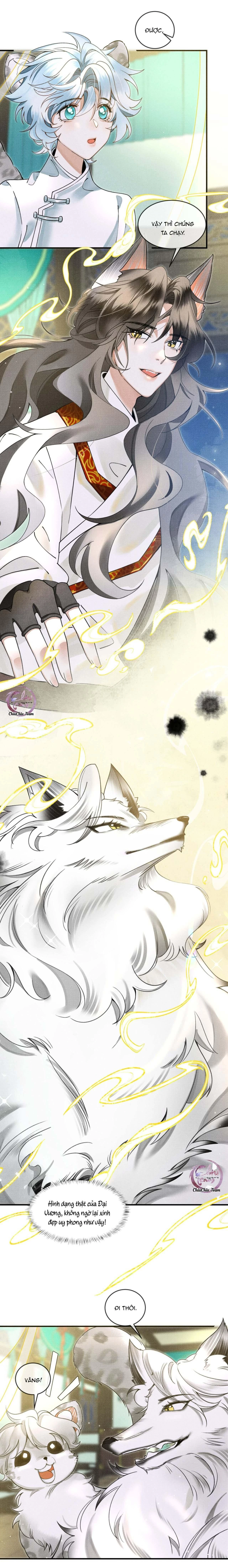 Báo Tuyết Thích Cắn Đuôi Chapter 10 - 12
