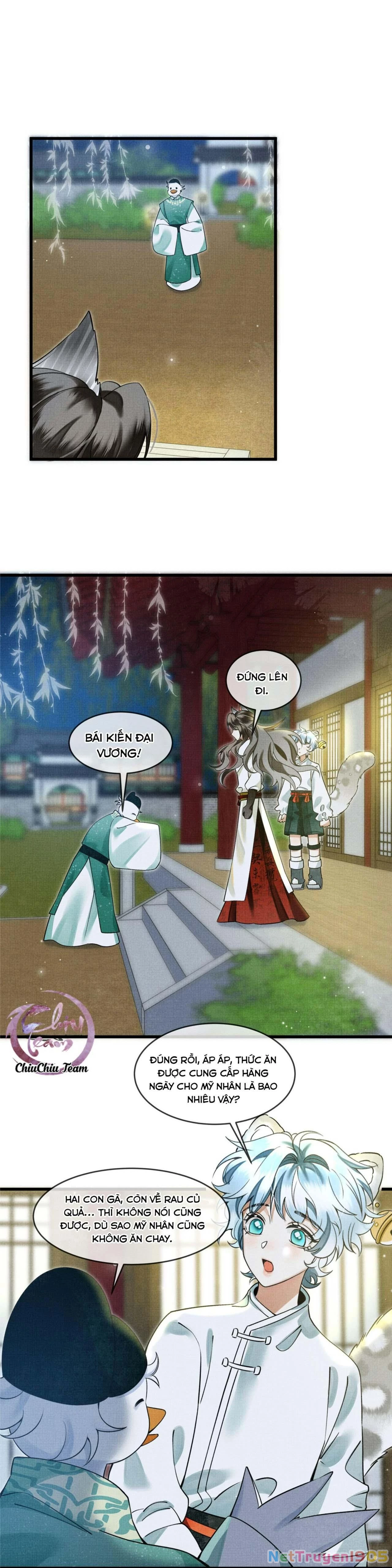 Báo Tuyết Thích Cắn Đuôi Chapter 11 - 13