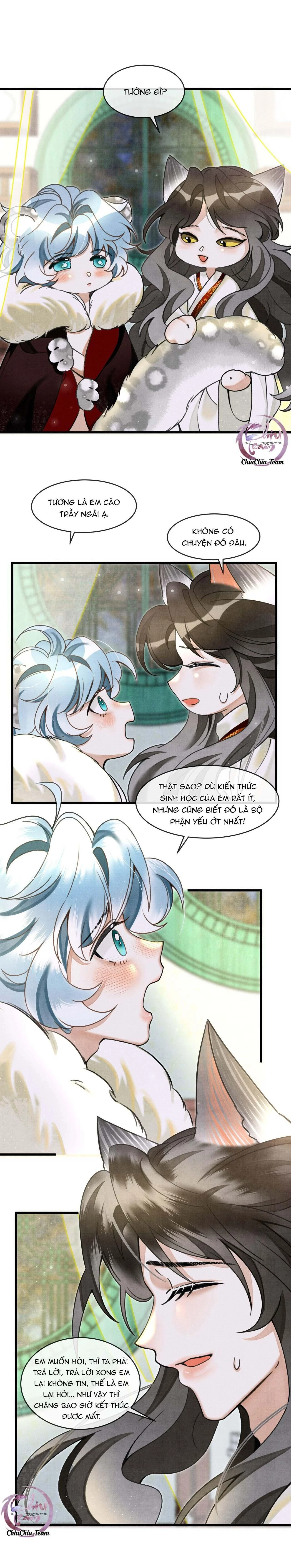 Báo Tuyết Thích Cắn Đuôi Chapter 14 - 15