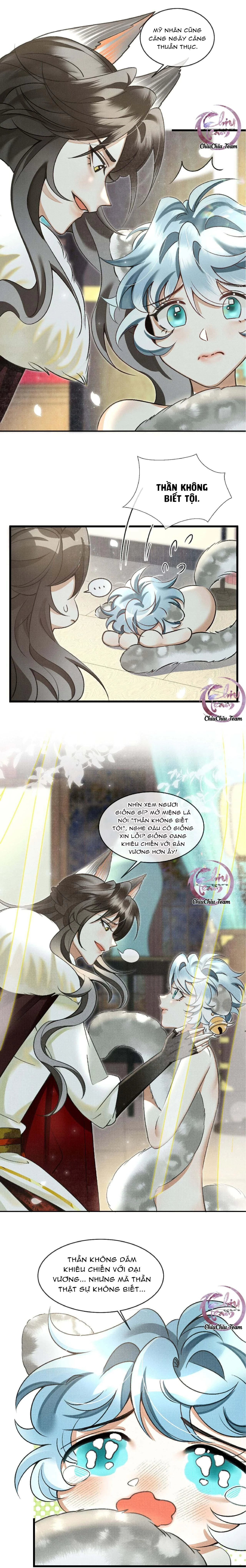 Báo Tuyết Thích Cắn Đuôi Chapter 23 - 6