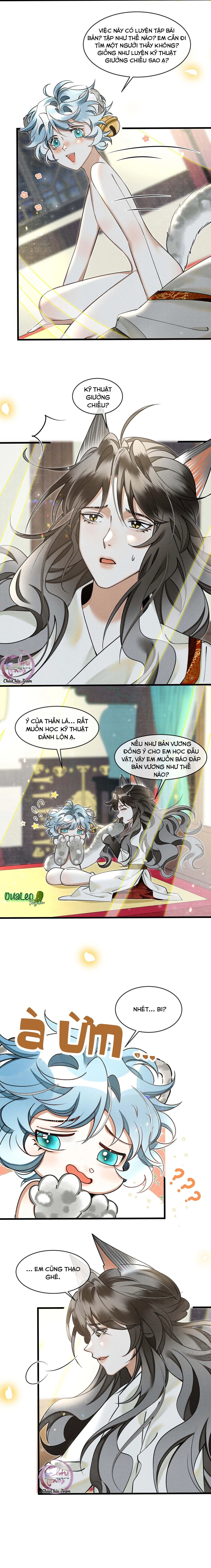 Báo Tuyết Thích Cắn Đuôi Chapter 26 - 3