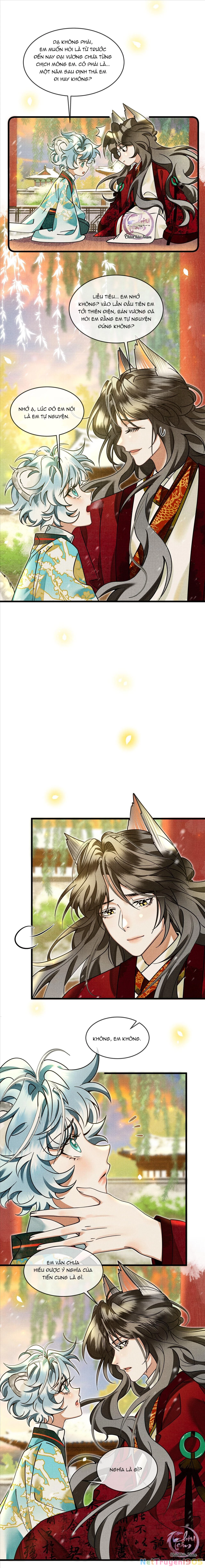 Báo Tuyết Thích Cắn Đuôi Chapter 29 - 6