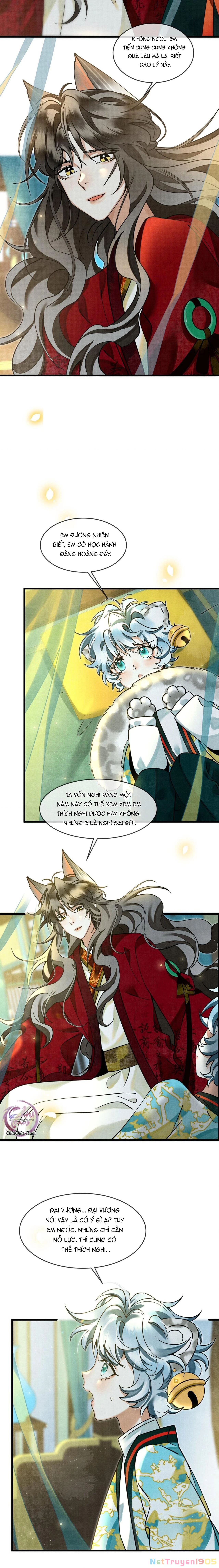 Báo Tuyết Thích Cắn Đuôi Chapter 31 - 6