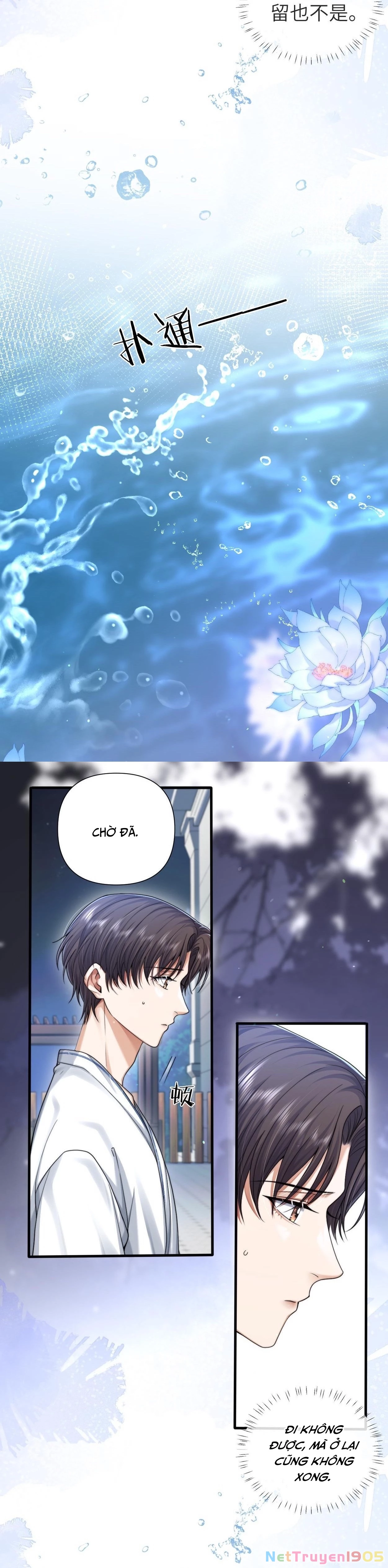 Kẻ Săn Mồi Đỉnh Cấp Chapter 16 - 8