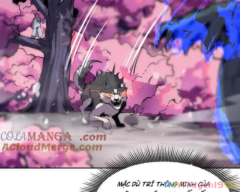 Ta Có Thể Nhìn Thấy Quy Tắc Cấm Khu Chapter 15 - 59