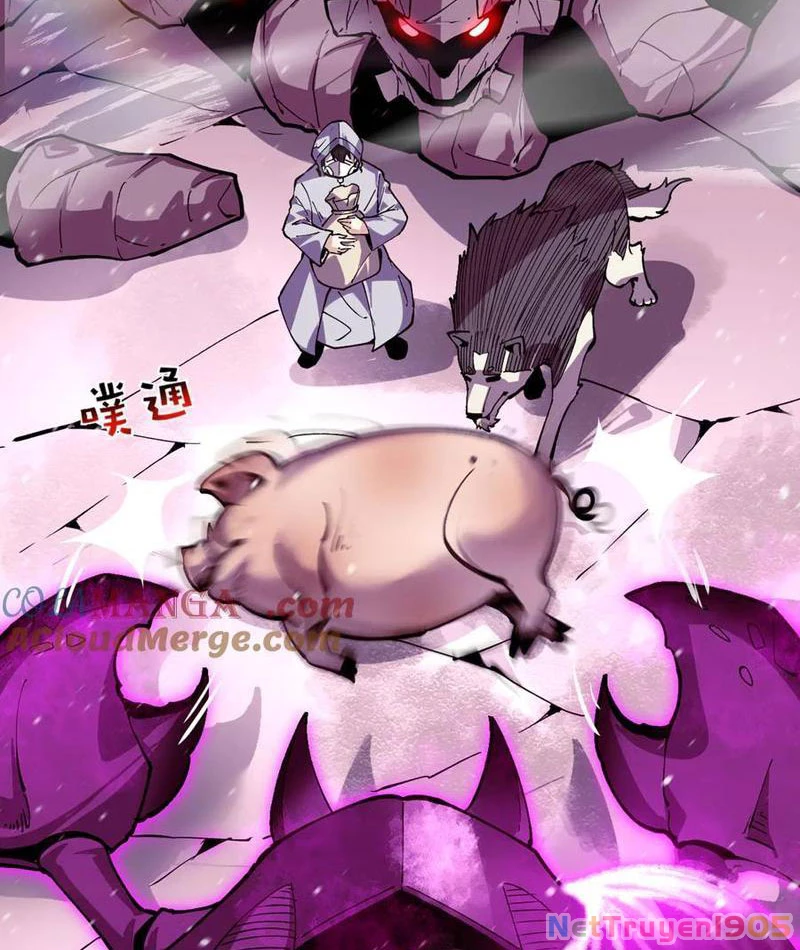 Ta Có Thể Nhìn Thấy Quy Tắc Cấm Khu Chapter 17 - 48