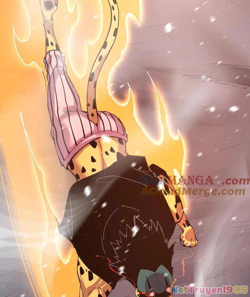 Ta Có Thể Nhìn Thấy Quy Tắc Cấm Khu Chapter 26 - 32