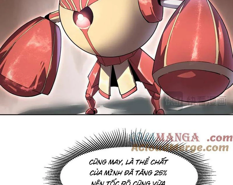Ta Có Thể Nhìn Thấy Quy Tắc Cấm Khu Chapter 38 - 10