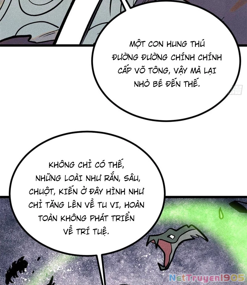 Vạn Cổ Tối Cường Tông Chapter 440 - 43