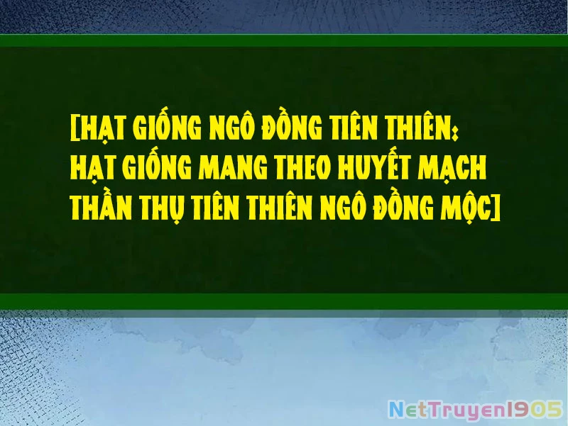 Chuyển Sinh Thành Liễu Đột Biến Chapter 401 - 95