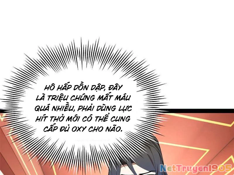 Chàng Rể Mạnh Nhất Lịch Sử Chapter 315 - 5
