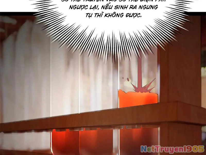 Chàng Rể Mạnh Nhất Lịch Sử Chapter 315 - 51