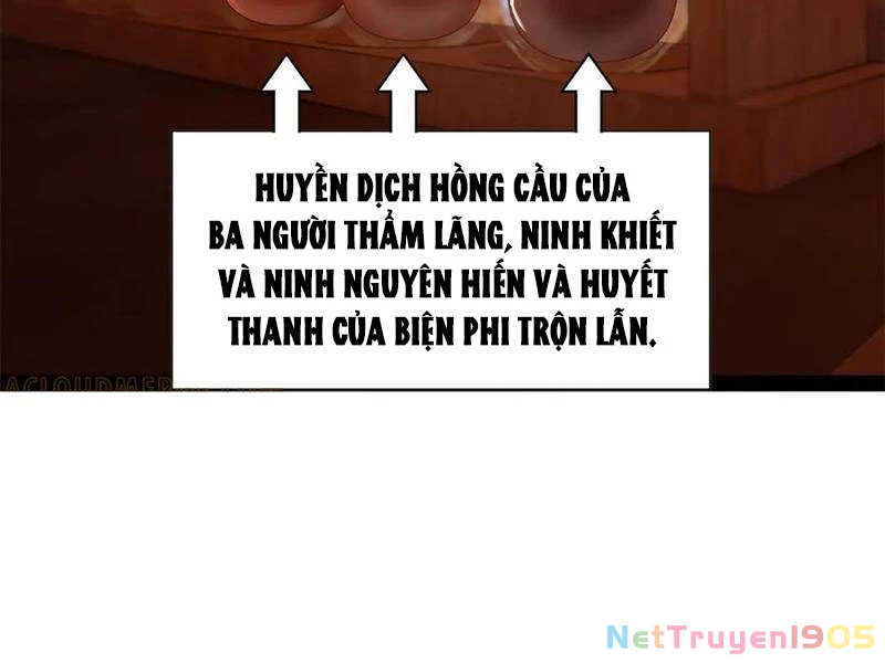 Chàng Rể Mạnh Nhất Lịch Sử Chapter 315 - 52