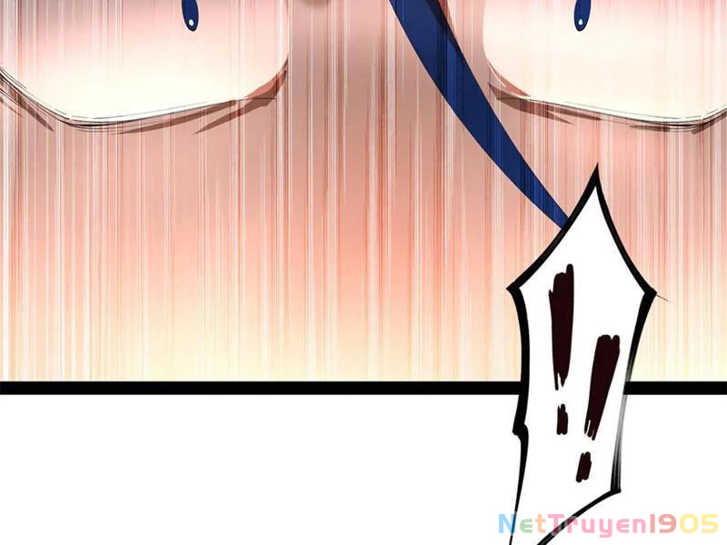 Chàng Rể Mạnh Nhất Lịch Sử Chapter 315 - 114