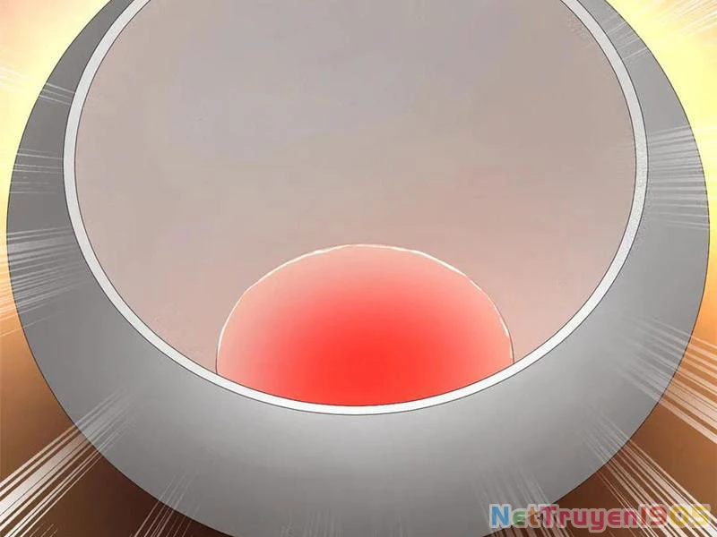 Chàng Rể Mạnh Nhất Lịch Sử Chapter 315 - 116