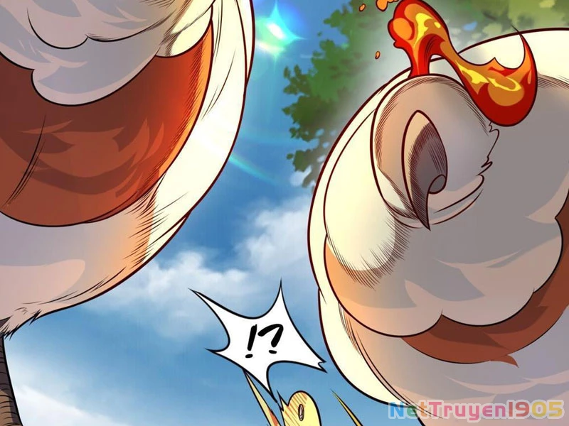 Giáo Chủ Ma Giáo Vụng Trộm Xem Ta Tu Luyện Chapter 3 - 3