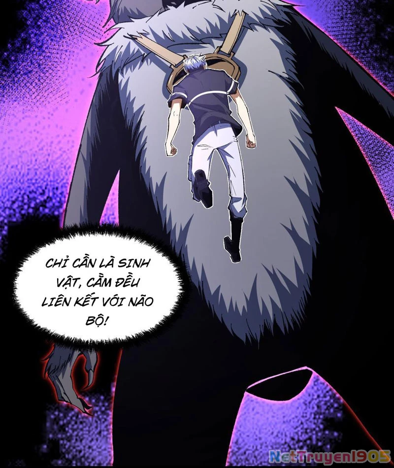 Hư Thực Chi Vương Chapter 4 - 67