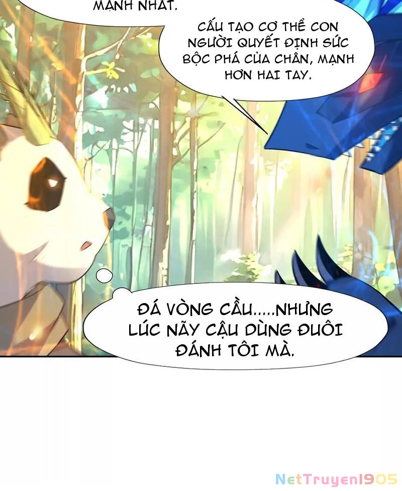 Trùng Sinh Thành Godzilla Chapter 312 - 13