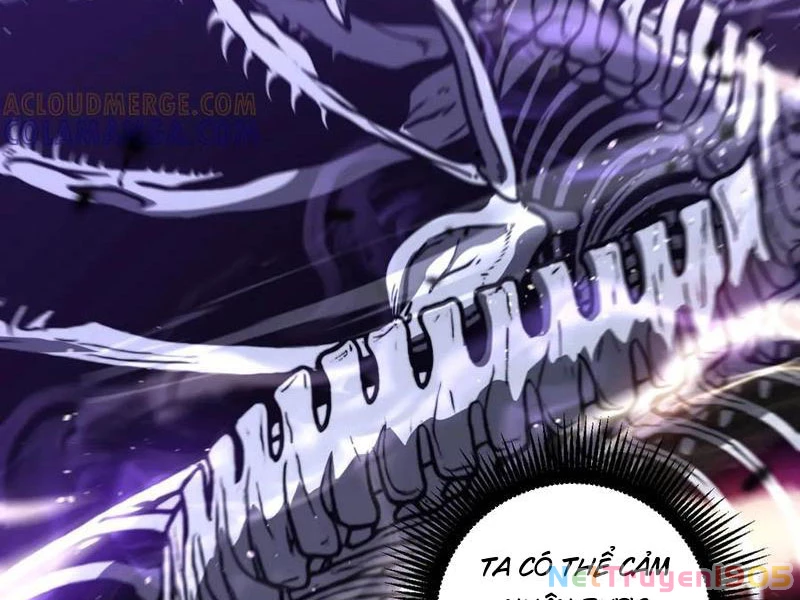 Lão xà tu tiên truyện Chapter 49 - 10