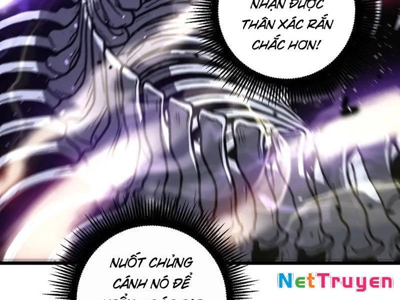 Lão xà tu tiên truyện Chapter 49 - 11