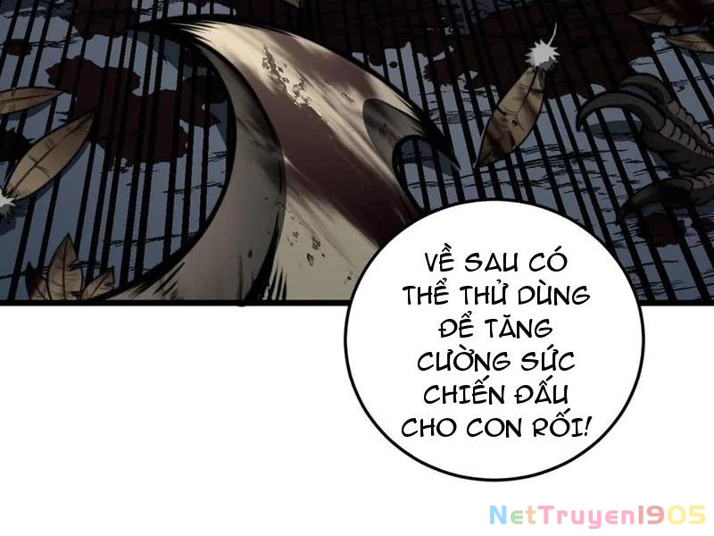 Lão xà tu tiên truyện Chapter 49 - 20