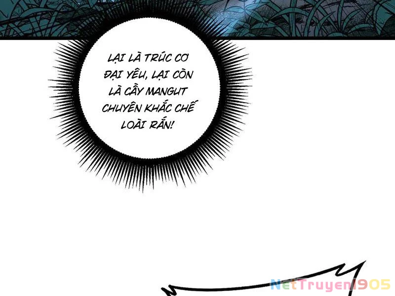 Lão xà tu tiên truyện Chapter 49 - 27
