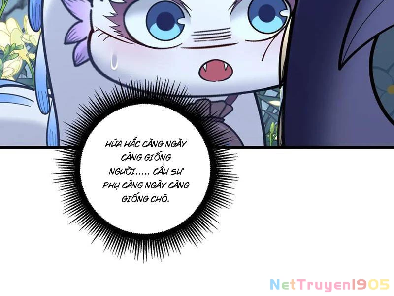 Lão xà tu tiên truyện Chapter 49 - 75
