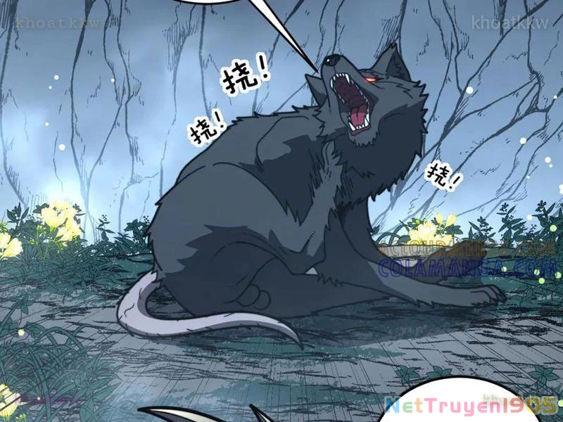 Lão xà tu tiên truyện Chapter 49 - 104