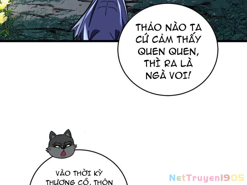 Lão xà tu tiên truyện Chapter 49 - 110
