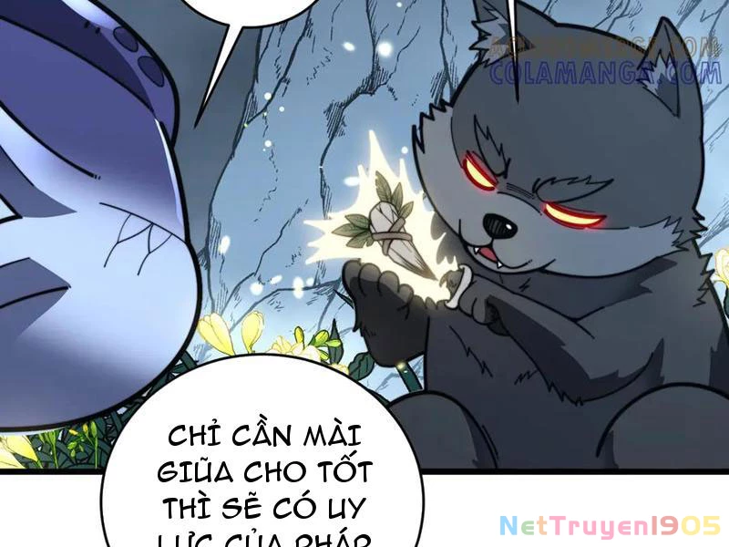 Lão xà tu tiên truyện Chapter 49 - 117