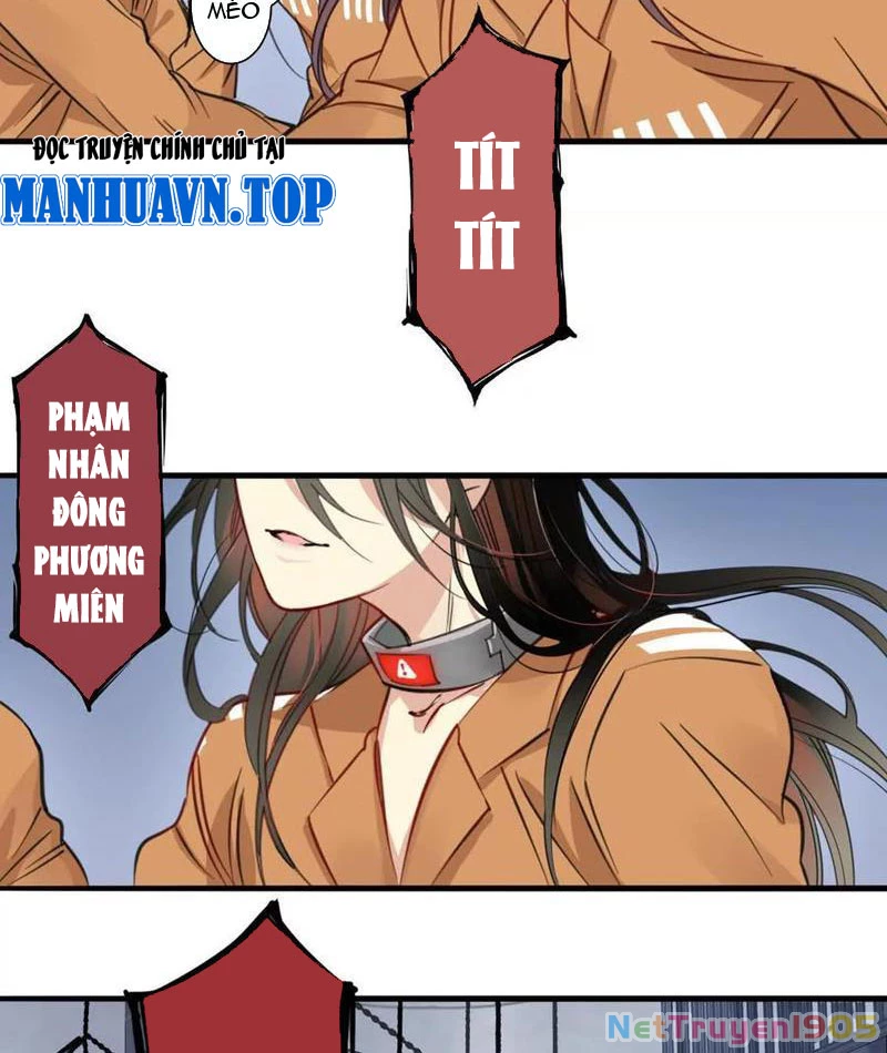 Thế Giới Vô Tội Chapter 4 - 4
