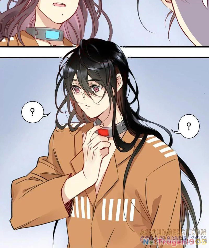 Thế Giới Vô Tội Chapter 4 - 7