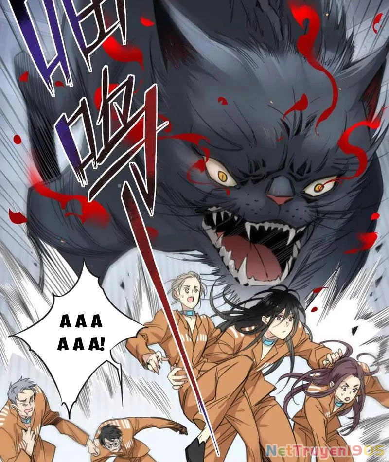 Thế Giới Vô Tội Chapter 4 - 28