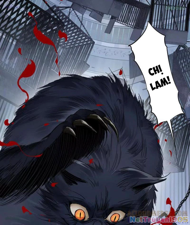 Thế Giới Vô Tội Chapter 6 - 17
