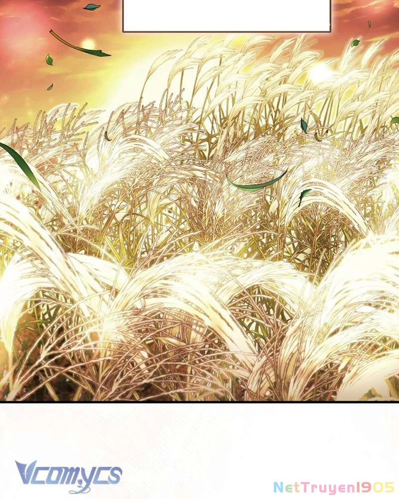 Các Nam Chính Đã Bị Nữ Phụ Cướp Mất Chapter 55 - 125