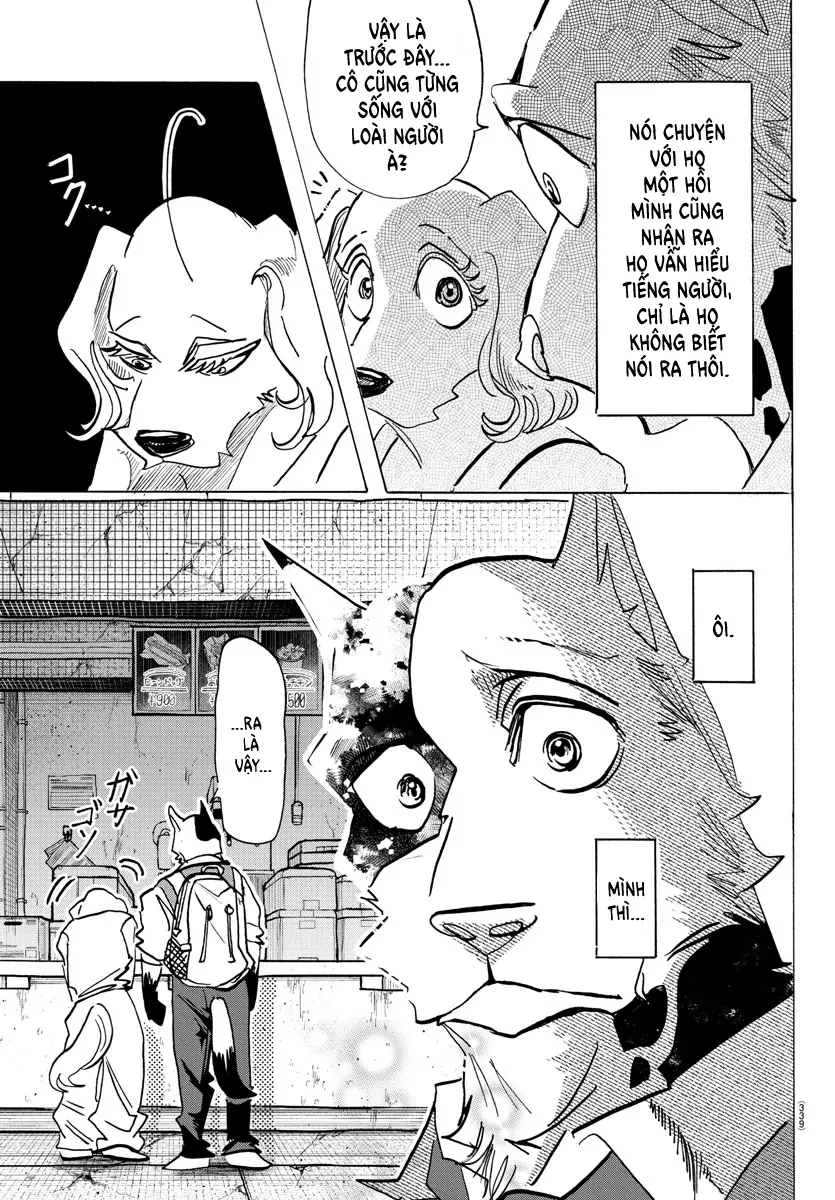 Lý Trí Của Taika Chapter 26 - 5