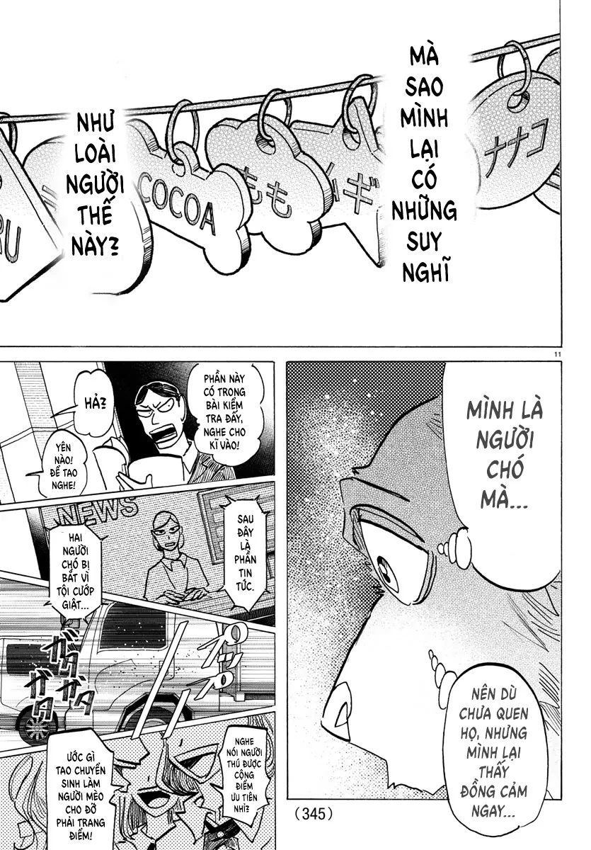 Lý Trí Của Taika Chapter 26 - 11