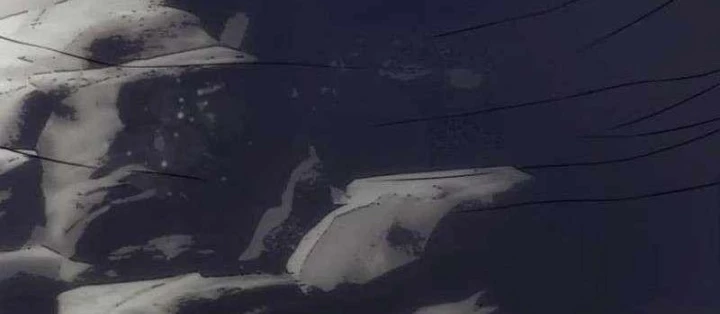 Có Lẽ Là Vô Địch Chapter 39 - 24