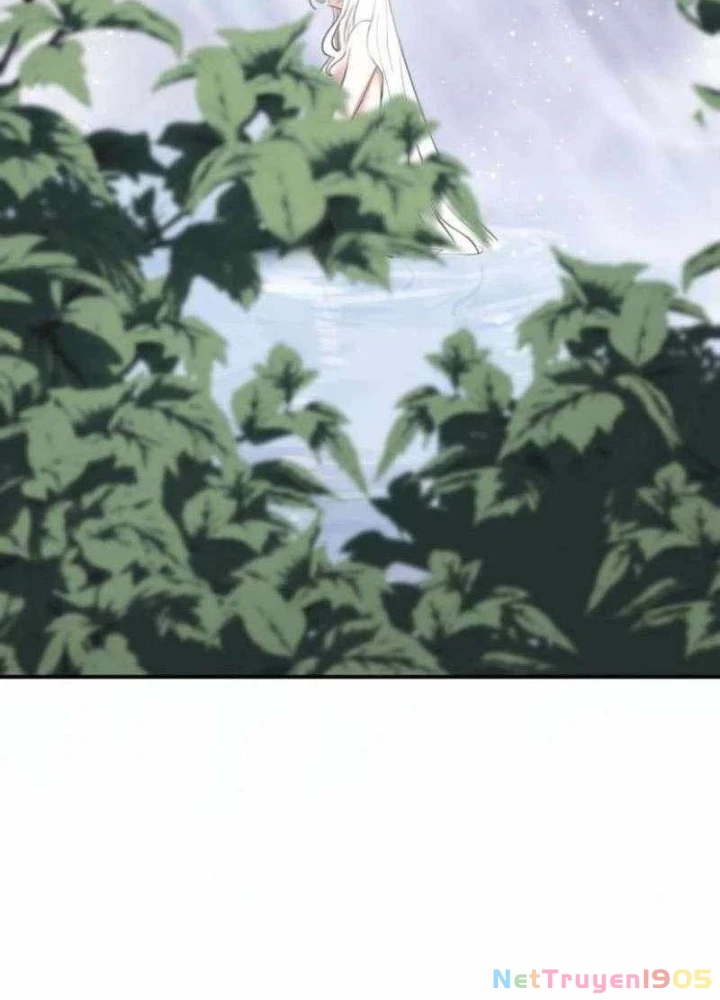 Có Lẽ Là Vô Địch Chapter 39 - 35