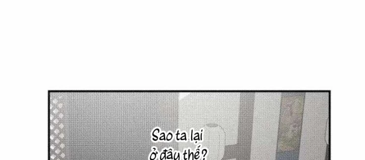 Có Lẽ Là Vô Địch Chapter 39 - 58