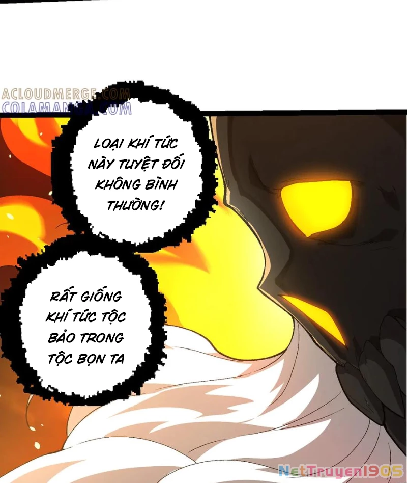 Chuyển Sinh Thành Liễu Đột Biến Chapter 402 - 33