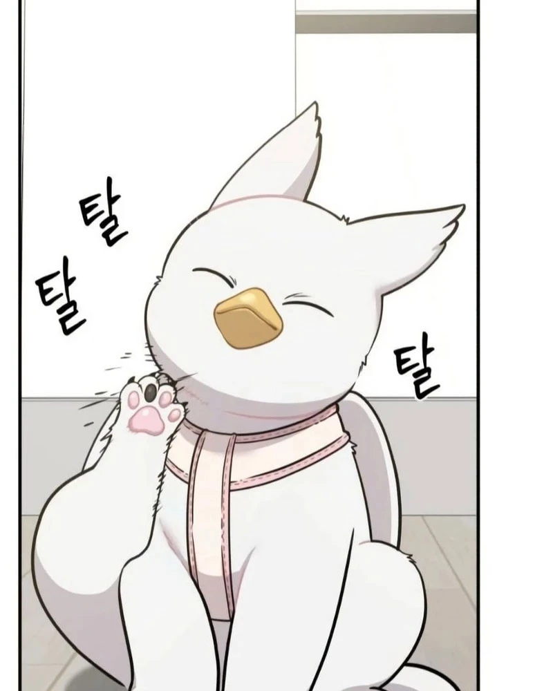 Chào Nhé, Griffin Mắt Tròn! Chapter 6 - 2