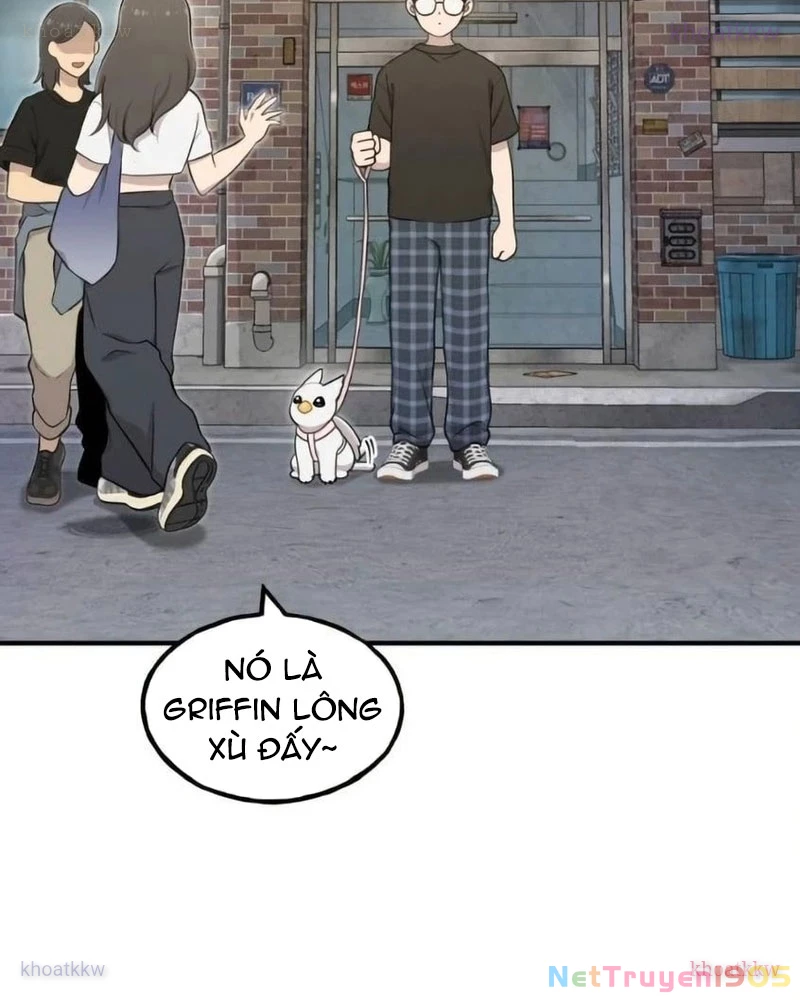 Chào Nhé, Griffin Mắt Tròn! Chapter 6 - 17