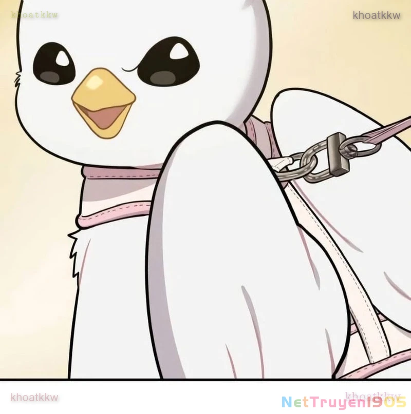 Chào Nhé, Griffin Mắt Tròn! Chapter 6 - 28