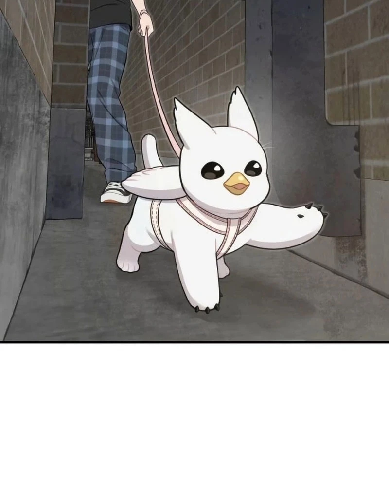 Chào Nhé, Griffin Mắt Tròn! Chapter 6 - 38