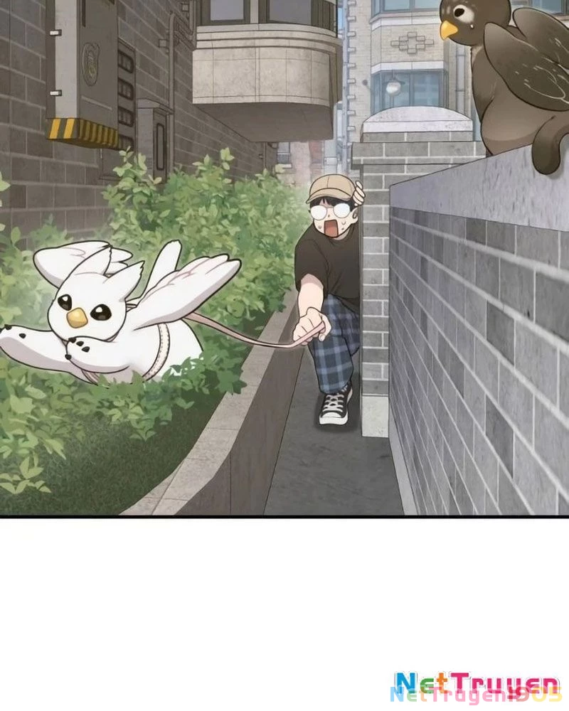 Chào Nhé, Griffin Mắt Tròn! Chapter 6 - 41