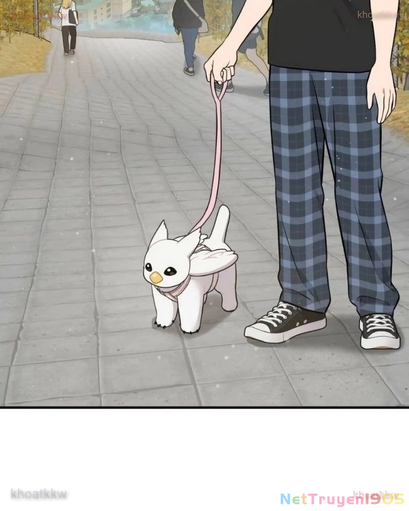 Chào Nhé, Griffin Mắt Tròn! Chapter 6 - 72