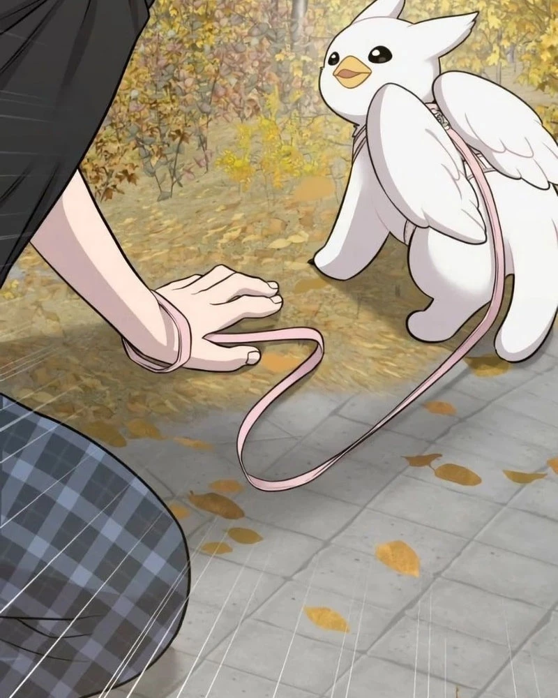 Chào Nhé, Griffin Mắt Tròn! Chapter 6 - 87